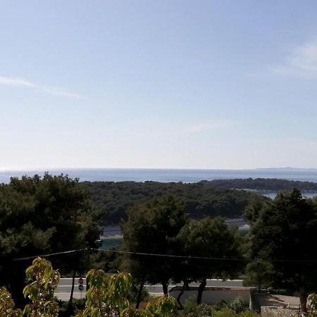 Apartmani Radić Primošten Zewnętrze zdjęcie
